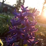 Gartenblick * Trebbin