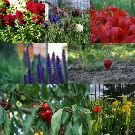 Gartenblick Apartmán Trebbin