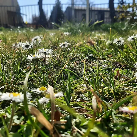 Gartenblick *