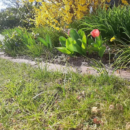 Gartenblick トレッビン