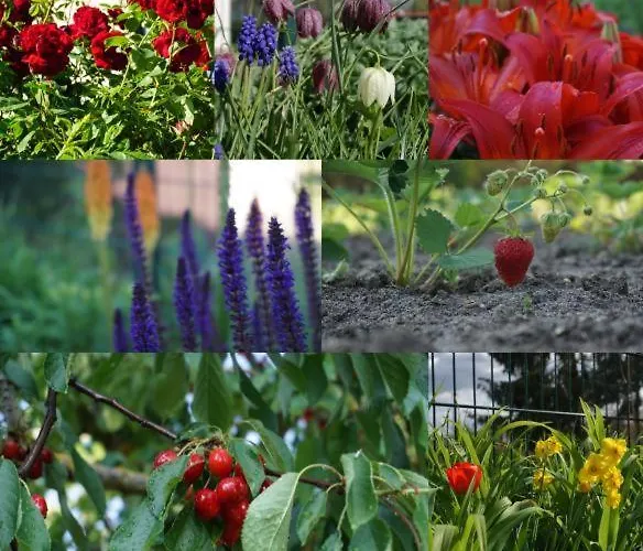 Gartenblick Apartament Trebbin