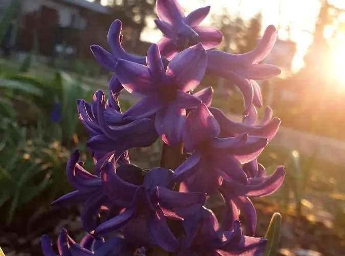 Gartenblick * Trebbin